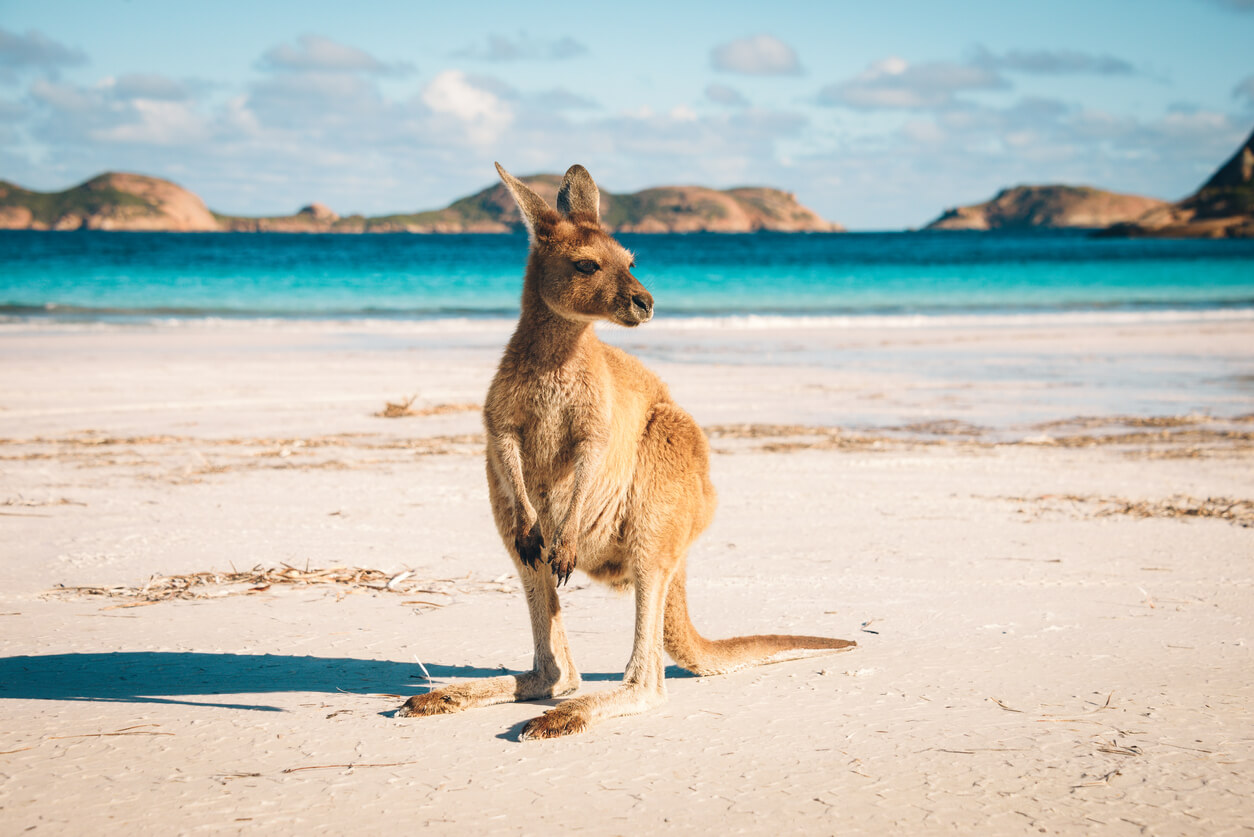 Coût de la vie et Prix en Australie en 2024, pour vivre ou voyager