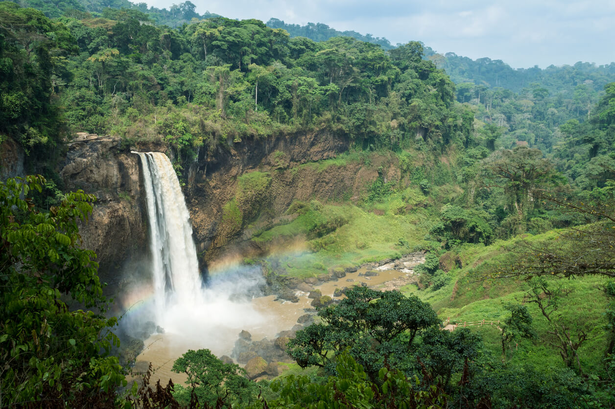 co-t-de-la-vie-et-prix-au-cameroun-en-2024-pour-vivre-ou-voyager